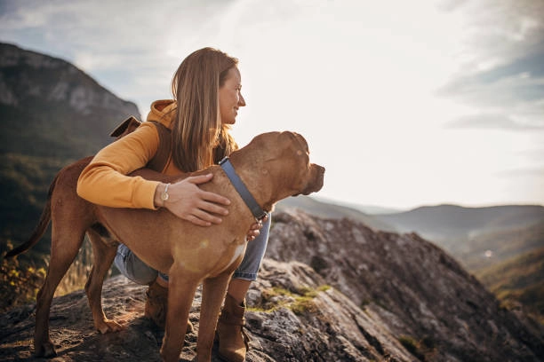 Dog Hiking